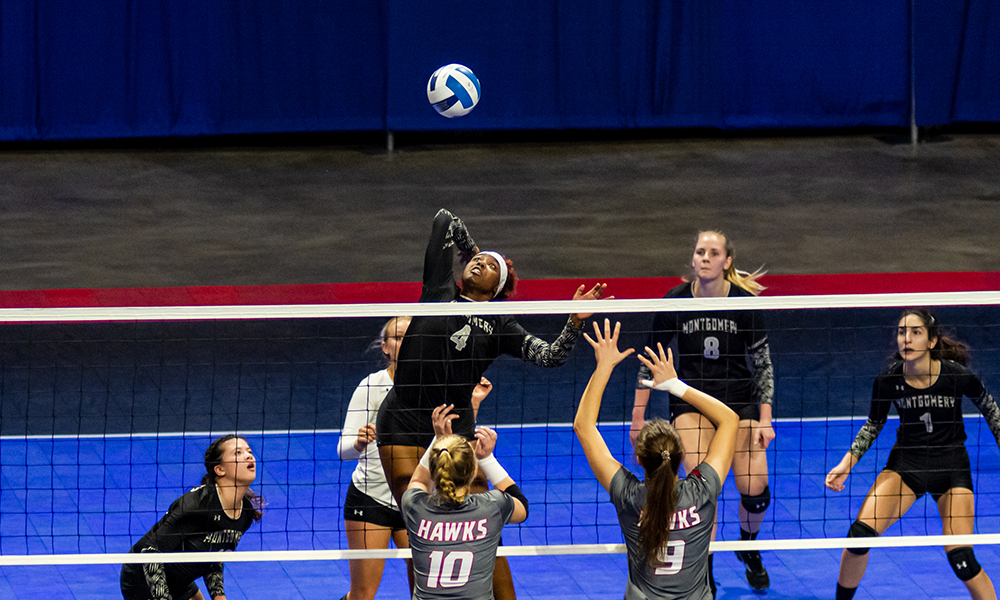Raptors Volleyball End Season at The National Championship Tournament