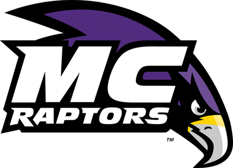 Anne Arundel Community College Logo