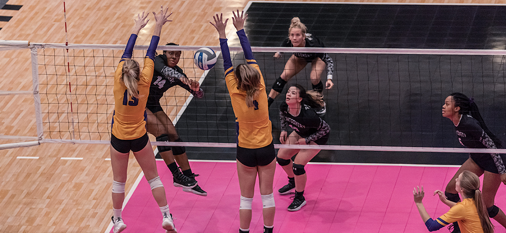 Raptors Postseason Series Ends in Consolation Game at NJCAA DII Volleyball Championship